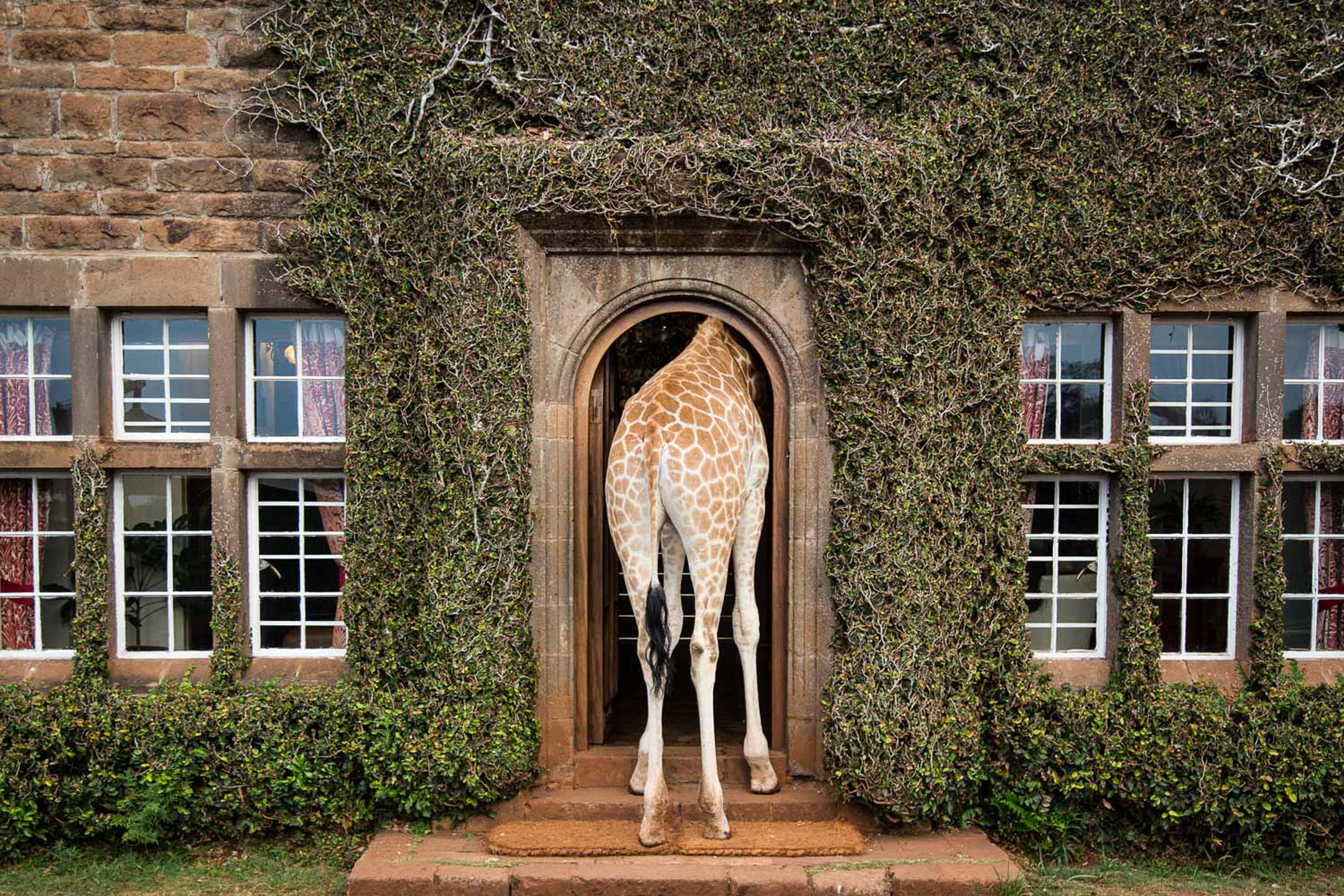 5-Days Luxury Safari Kenya | The Best Safari Collection