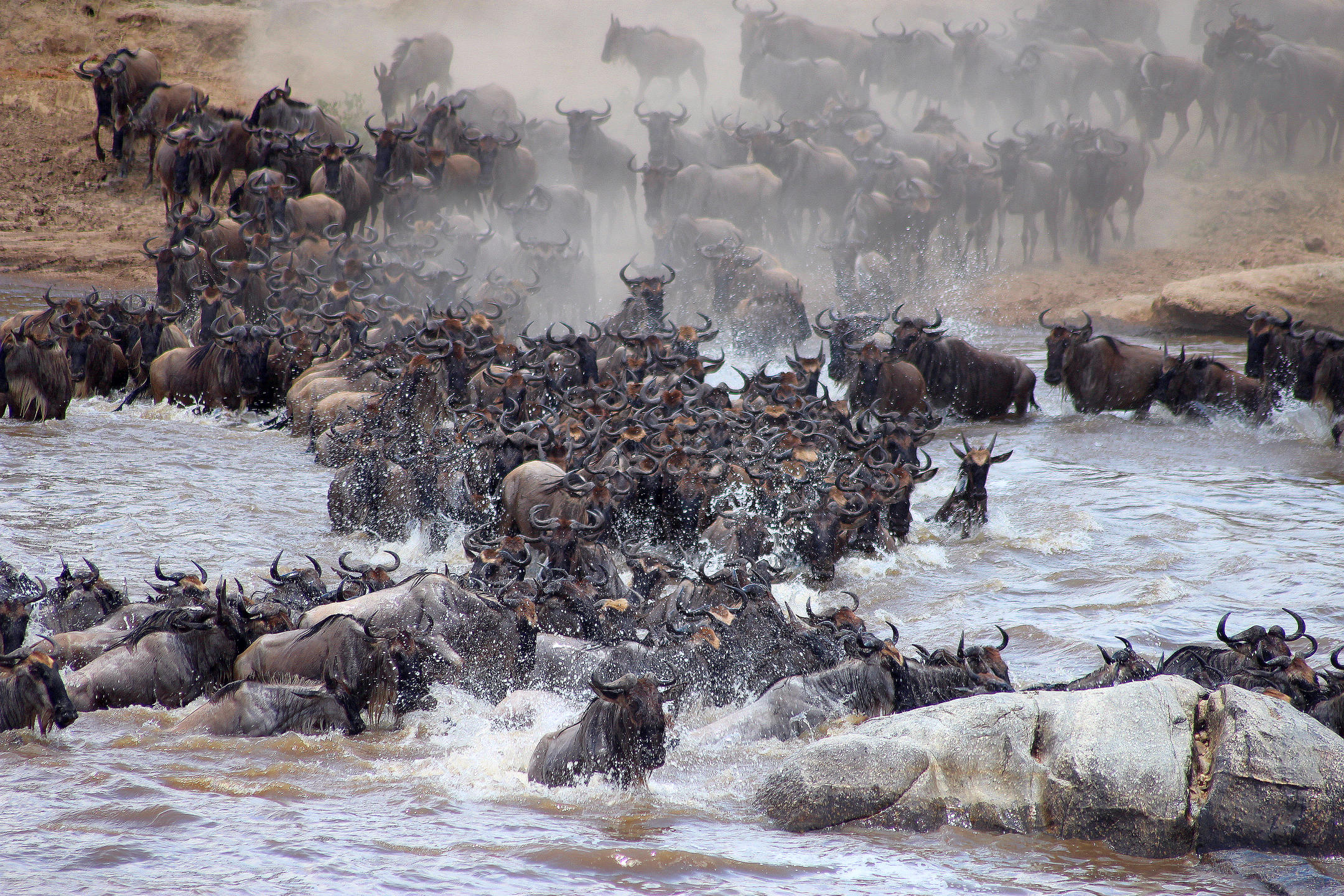 The Best 7-Days Tanzania | Exclusive Wildebeest Migration